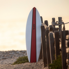 Load image into Gallery viewer, Bone Fish