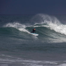 Load image into Gallery viewer, Blue Fin