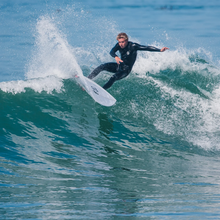 Load image into Gallery viewer, Devil Fish