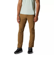 Load image into Gallery viewer, Mountain Hardwear Men's Basin Trek Pant
