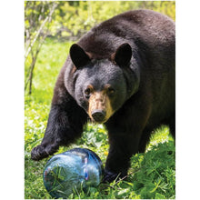 Load image into Gallery viewer, BEARVAULT BV450