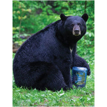 Load image into Gallery viewer, BEARVAULT BV500