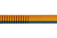 Load image into Gallery viewer, Ruffwear Roamer Leash