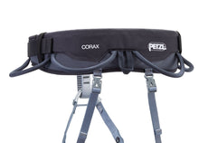 Load image into Gallery viewer, Petzl Corax Harness