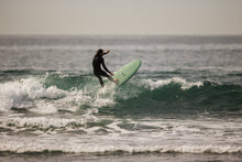 Load image into Gallery viewer, Tamago