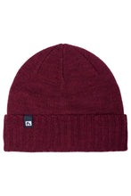 Load image into Gallery viewer, Flylow Forecaster Beanie