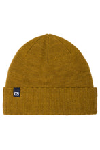 Load image into Gallery viewer, Flylow Forecaster Beanie