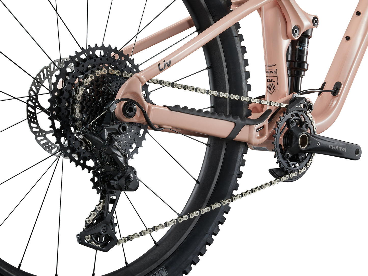 Close-up of a bicycle's rear wheel and gear system on a white background