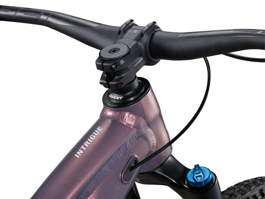 Close-up of a bicycle handlebar with 'Giant' brand visible on a white background