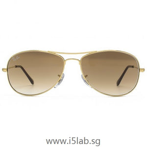 Ray Ban Cockpit Arista w/Clear Gradient Brown