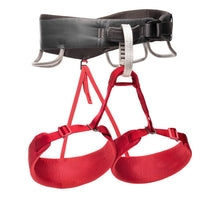 Load image into Gallery viewer, Black Diamond Women's Momentum Harness