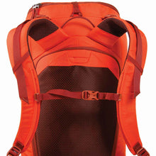 Load image into Gallery viewer, Blue Ice Squirrel 32L Pack