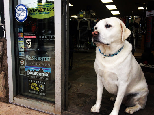 Adventure Just Got Furrier!