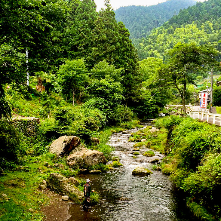 Bill Thompson trout fishing in Japan