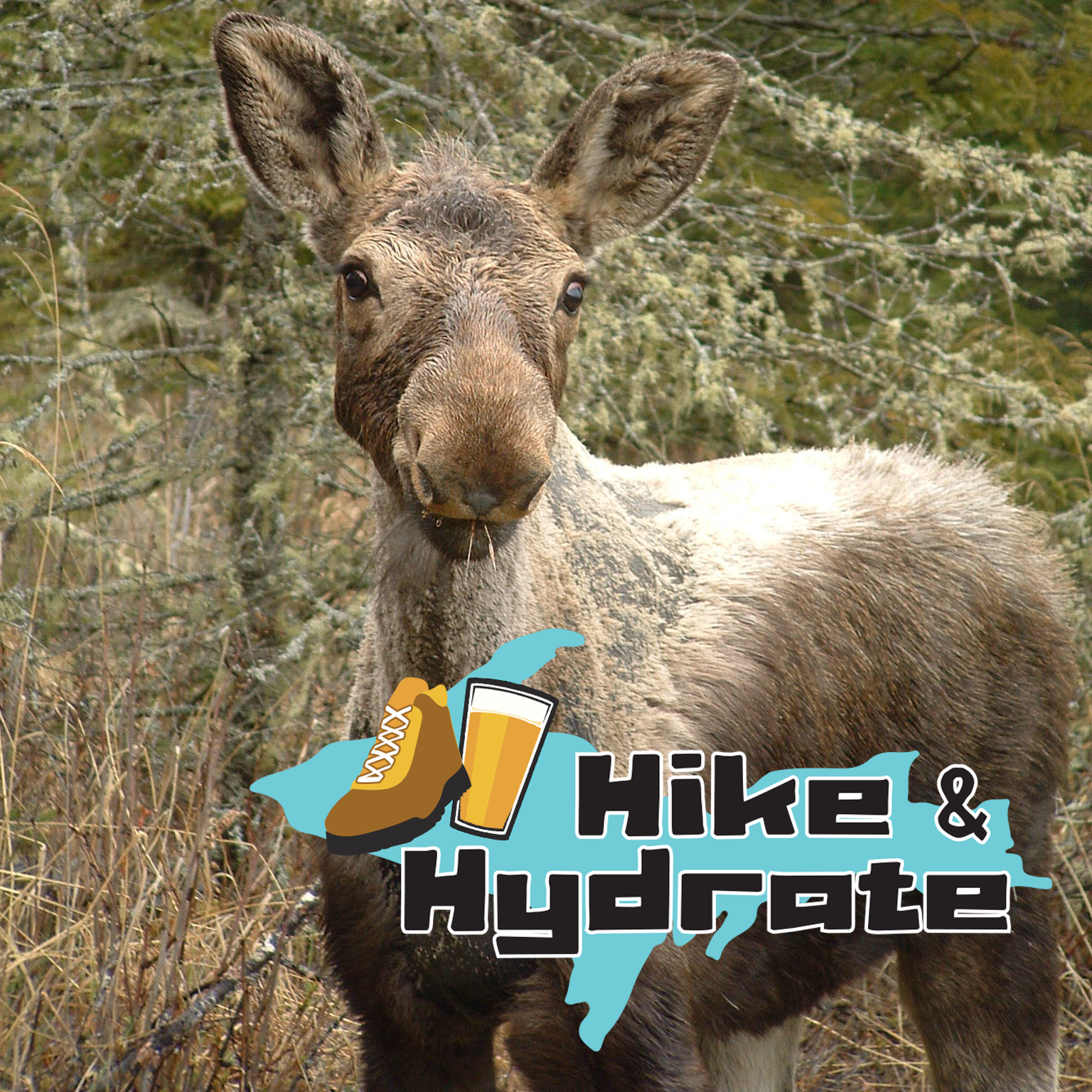 Hike & Hydrate: Isle Royale's Greenstone Ridge Trail and the Keweenaw ...