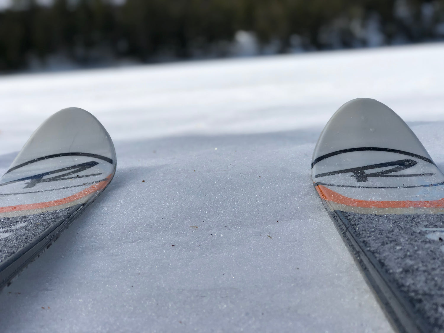 Snow Sports