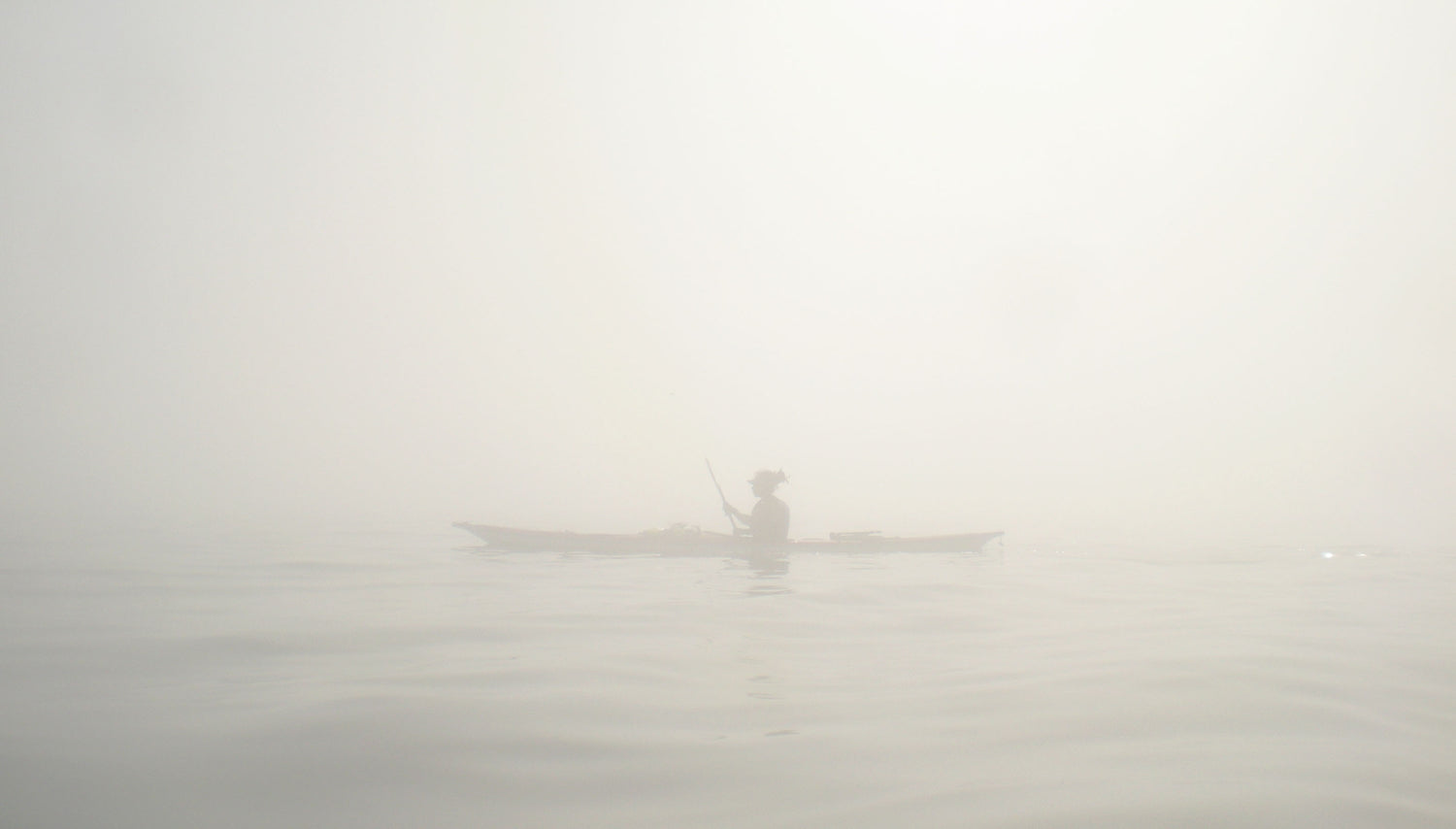 Paddles