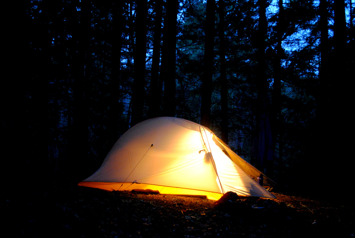 Tents & Hammocks