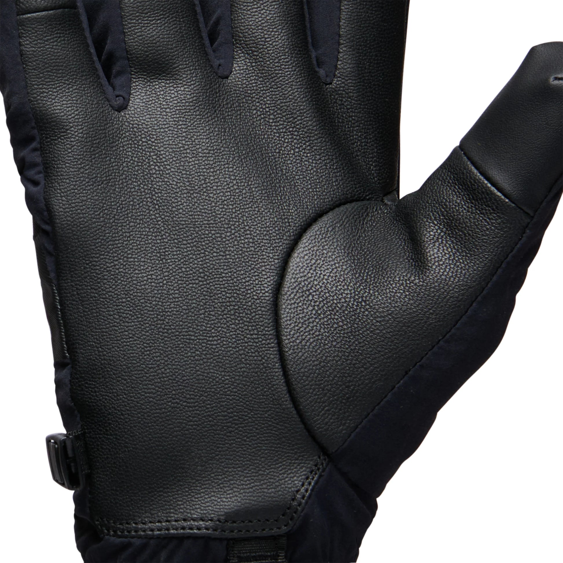 Close-up of a black leather glove on a white background