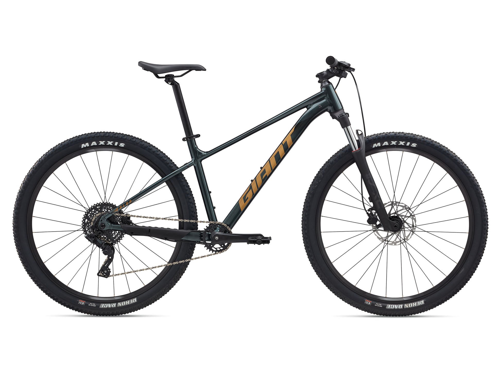 Black bicycle with 'Giant' branding on a white background