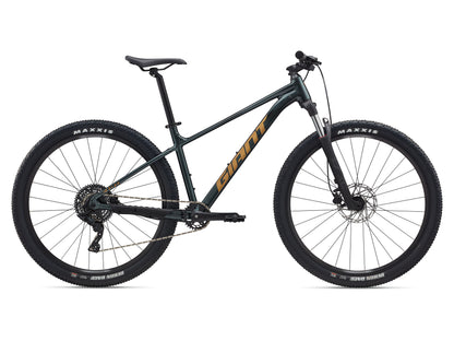 Black bicycle with 'Giant' branding on a white background