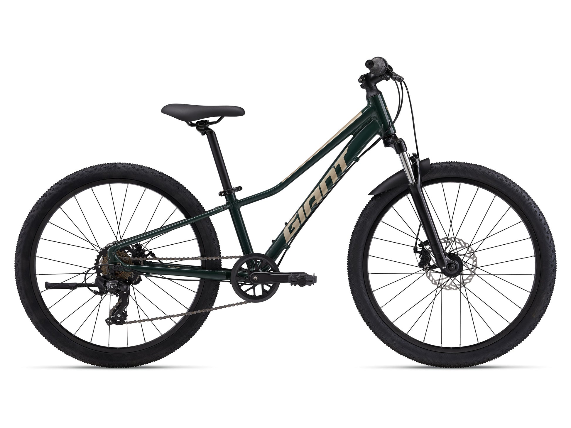 Black bicycle with 'Giant' branding on a white background