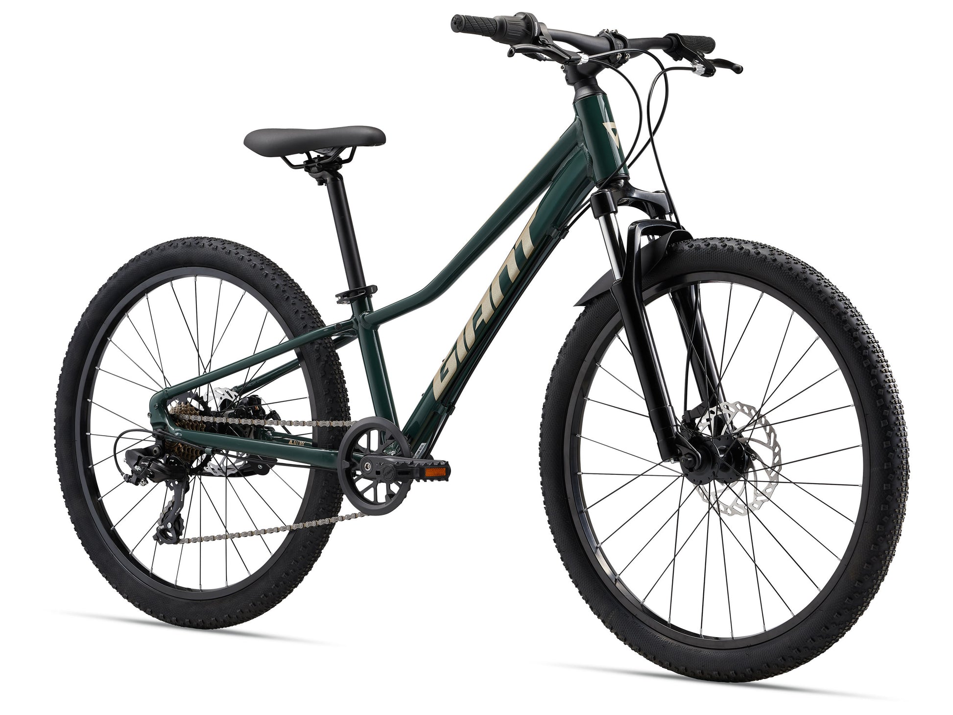 Green bicycle on a white background