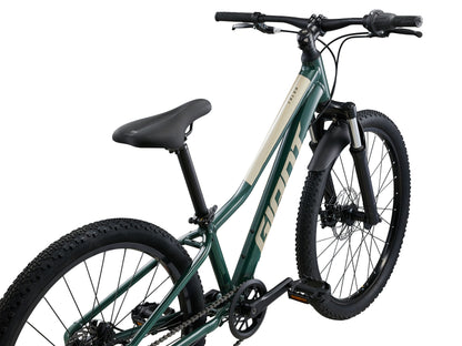 Green bicycle with black tires on a white background