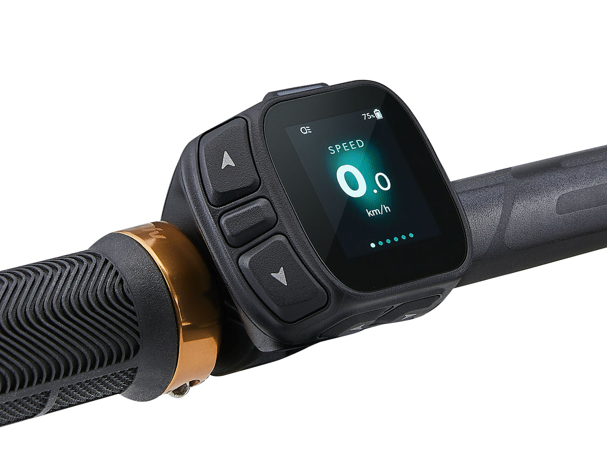Digital display on a scooter handlebar with speed and battery indicator.