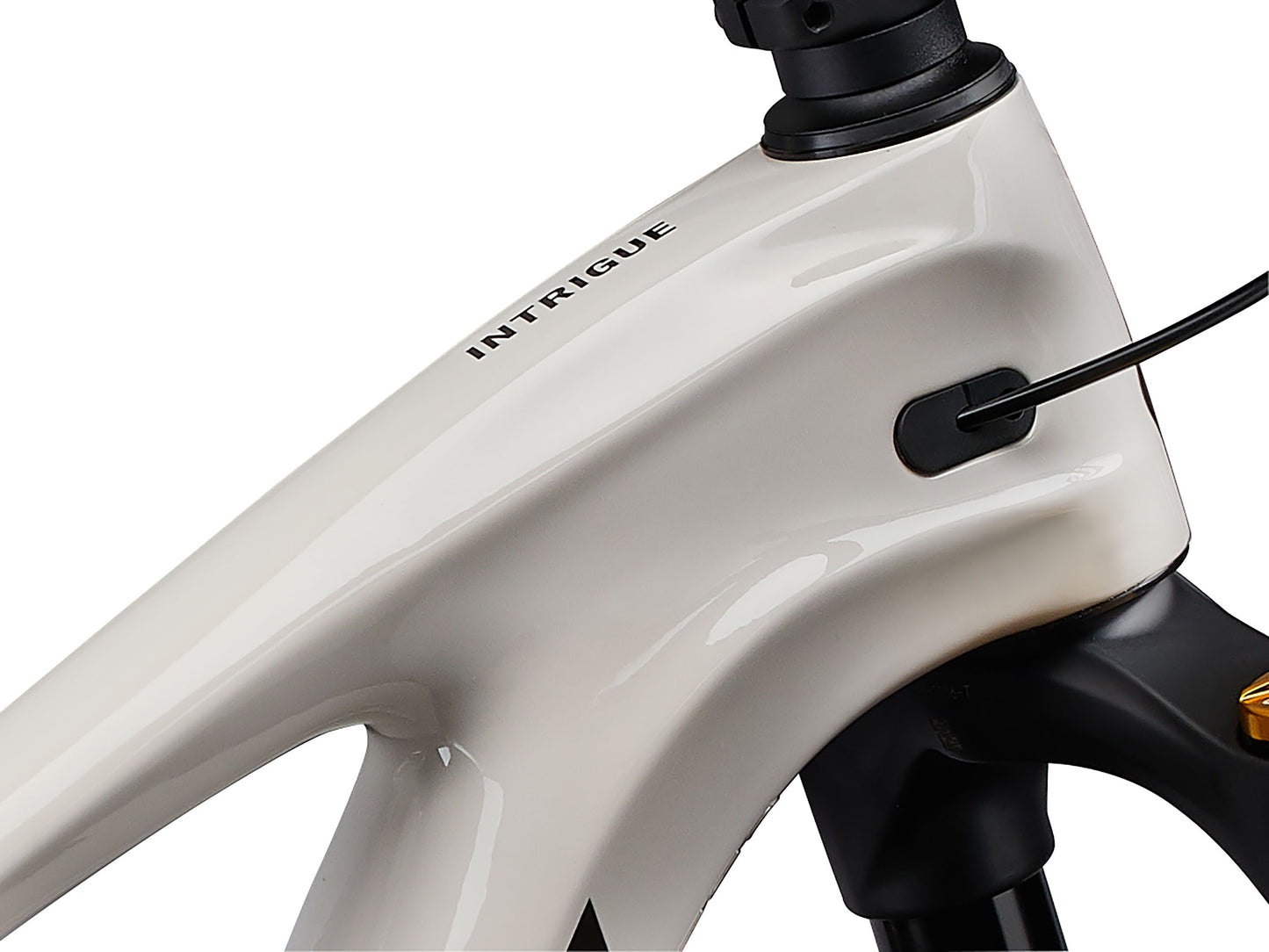 Close-up of a bicycle frame with 'Intrigue' branding on a white background