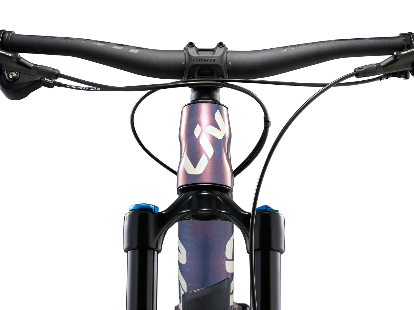 Close-up of a bicycle handlebar and front suspension fork with 'Giant' branding.