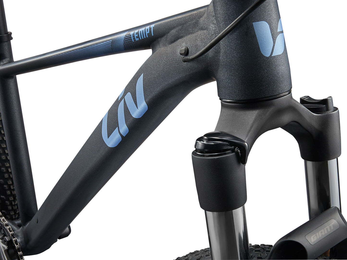 Close-up of a bicycle frame with 'Liv' branding on a white background