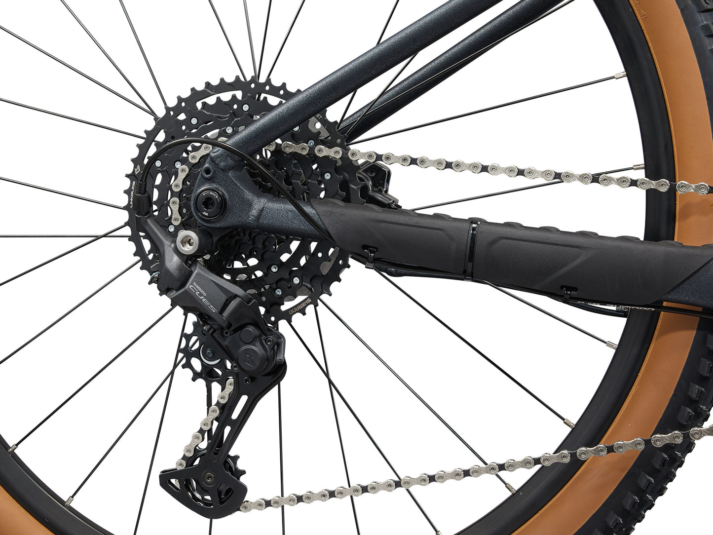Close-up of a bicycle's rear wheel and gear system on a white background