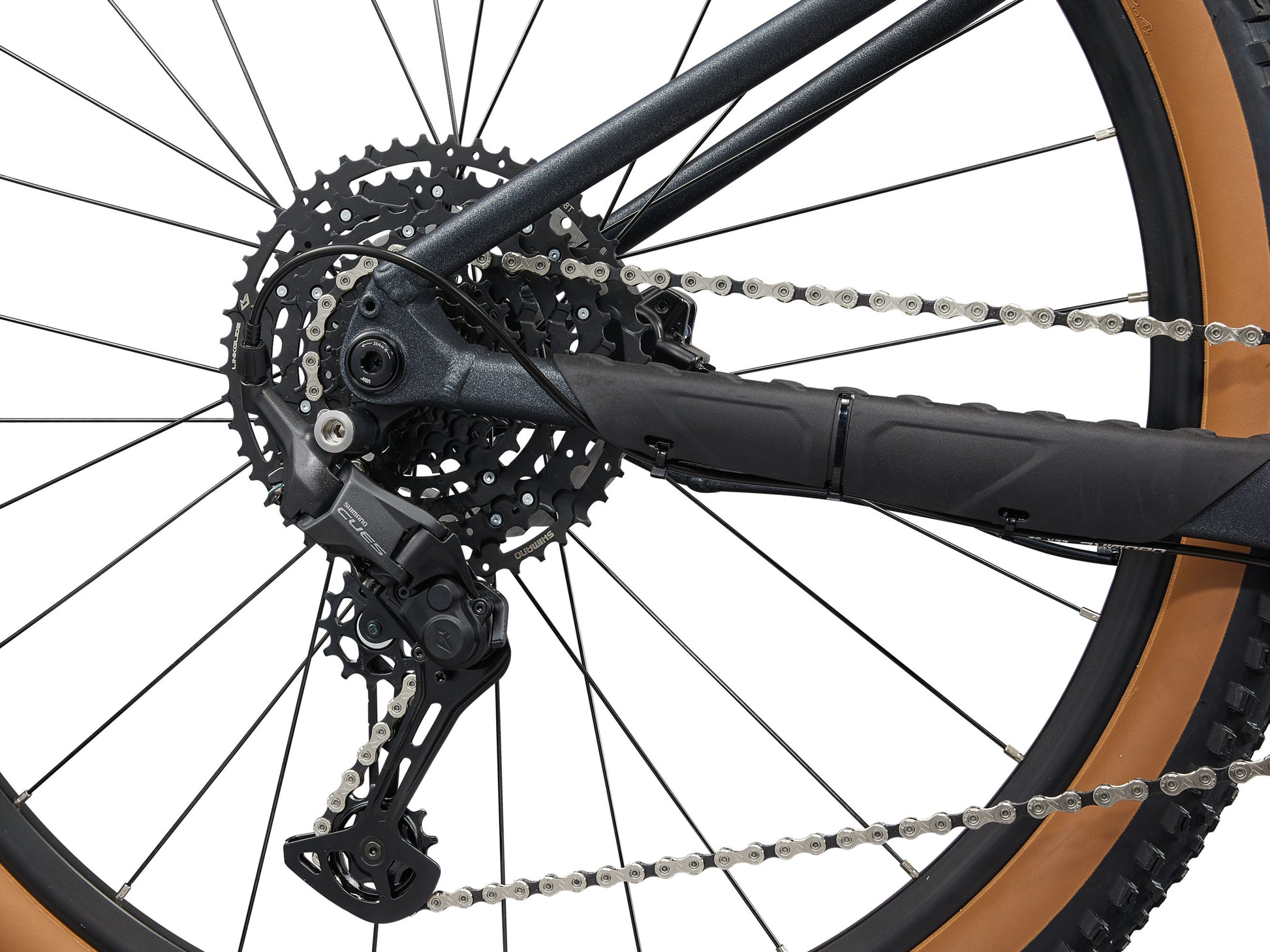 Close-up of a bicycle's rear wheel and gear system on a white background