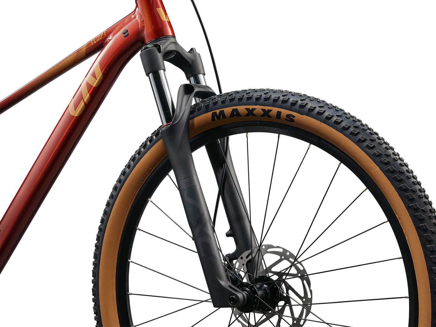 Close-up of a bicycle wheel with Maxxis tire on a white background