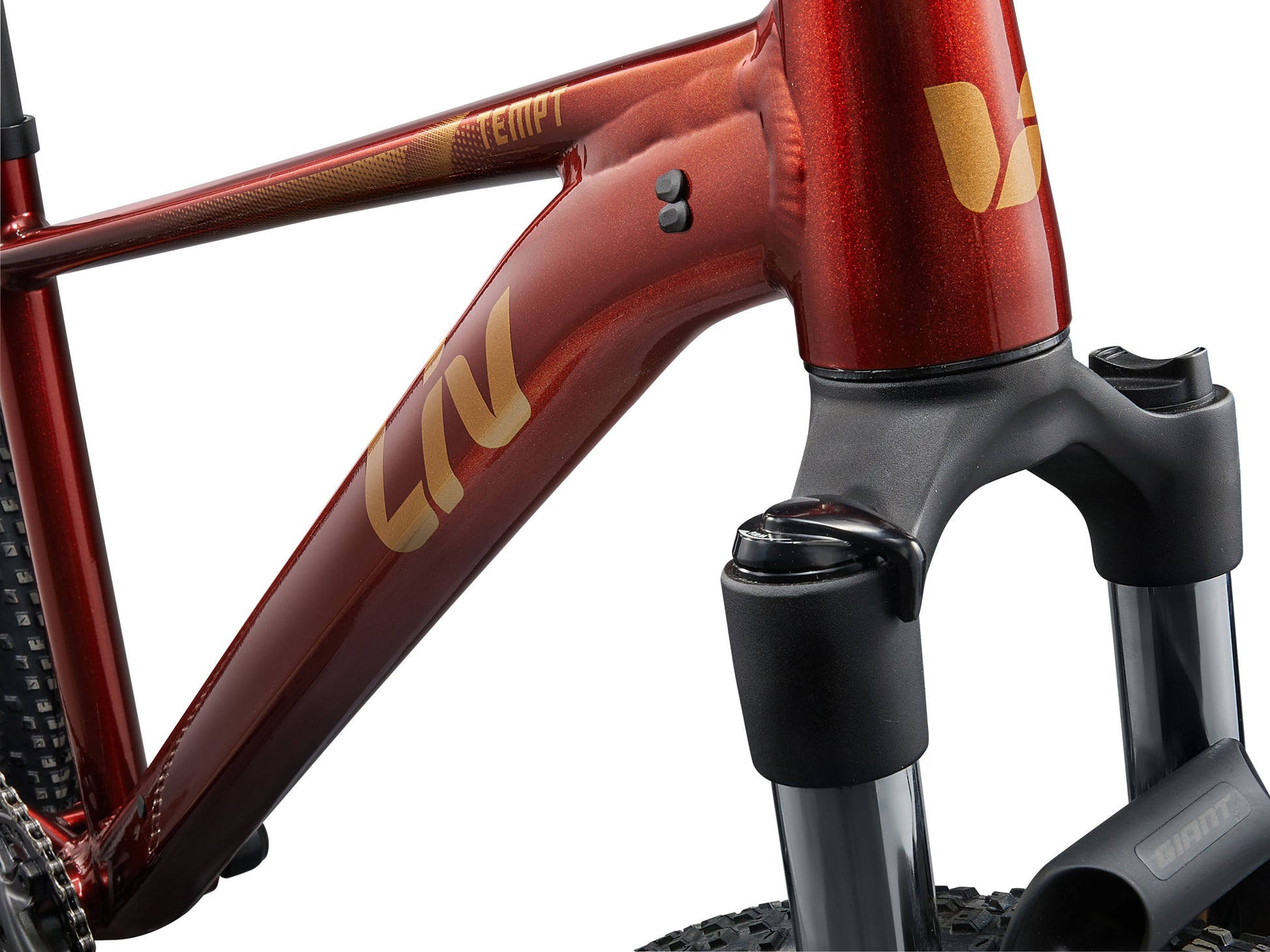Close-up of a red bicycle frame with black components on a white background