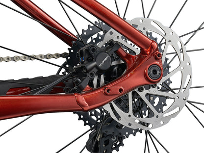 Close-up of a bicycle's chain mechanism with red metal components.