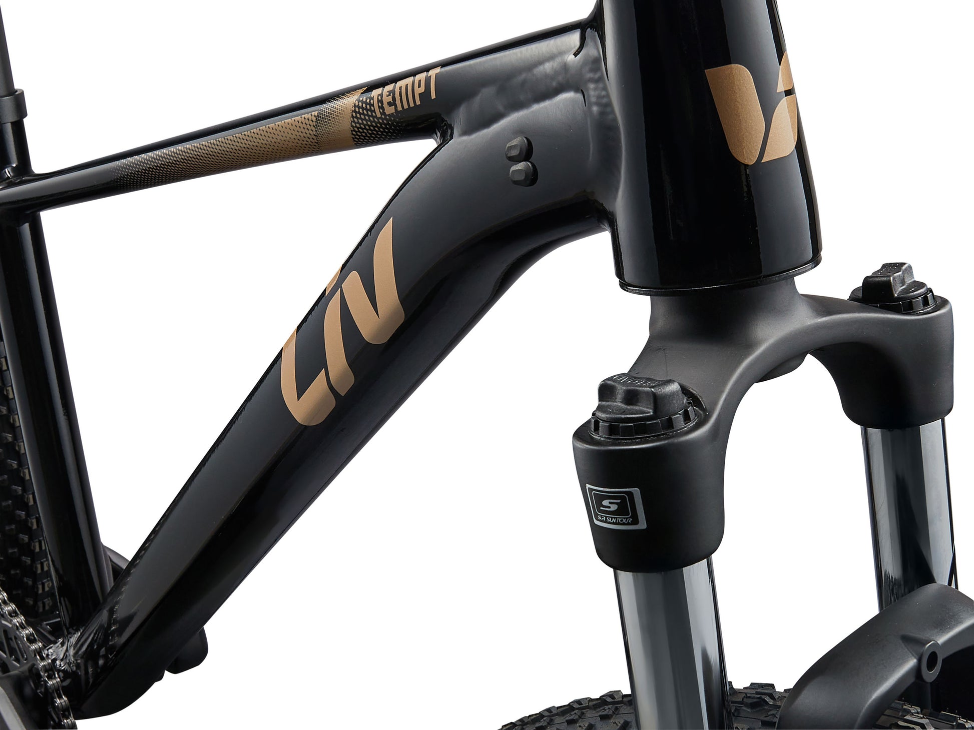 Close-up of a black bicycle frame with gold branding on a white background