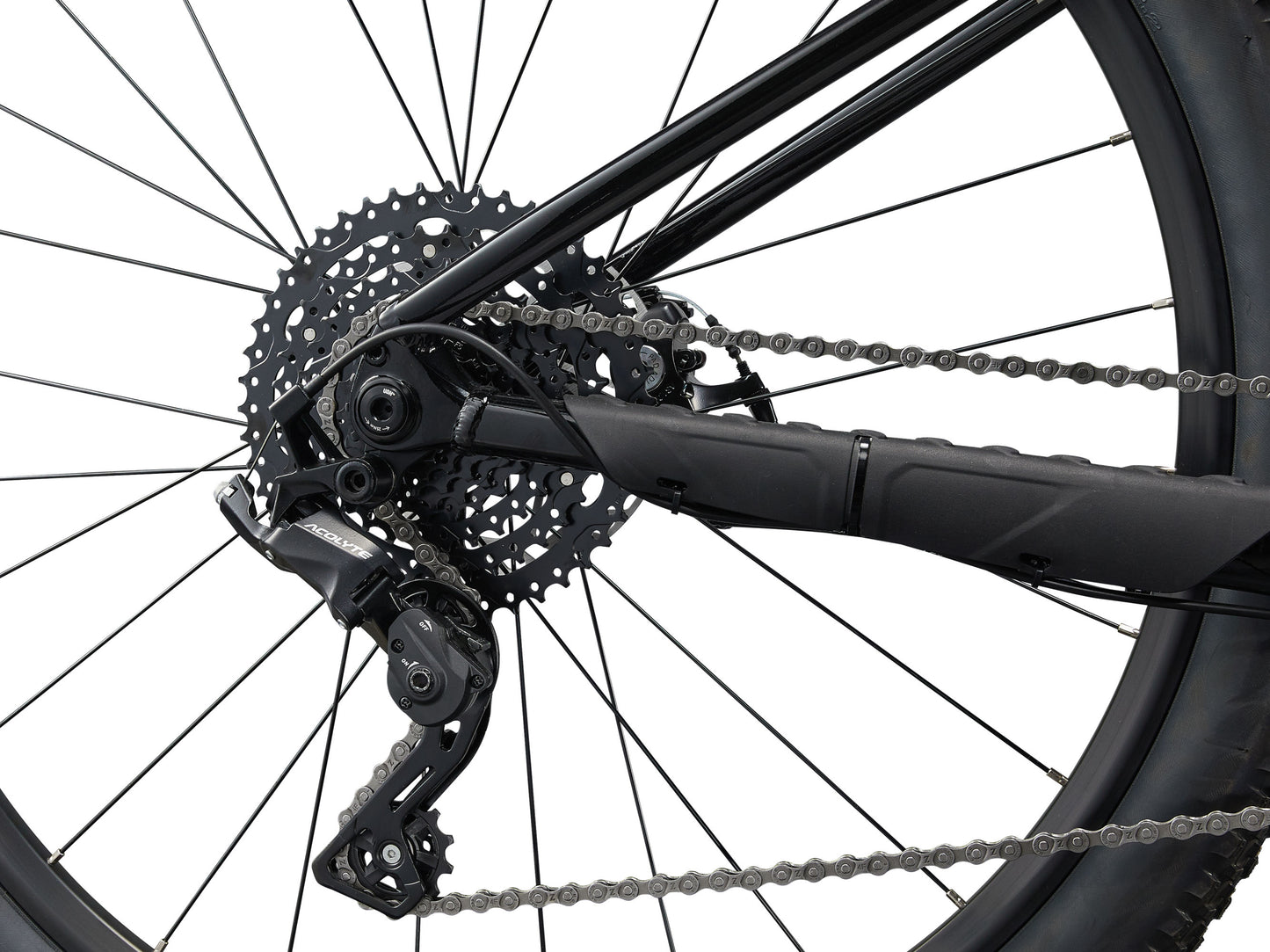 Close-up of a bicycle's gear system with chain and sprockets on a white background