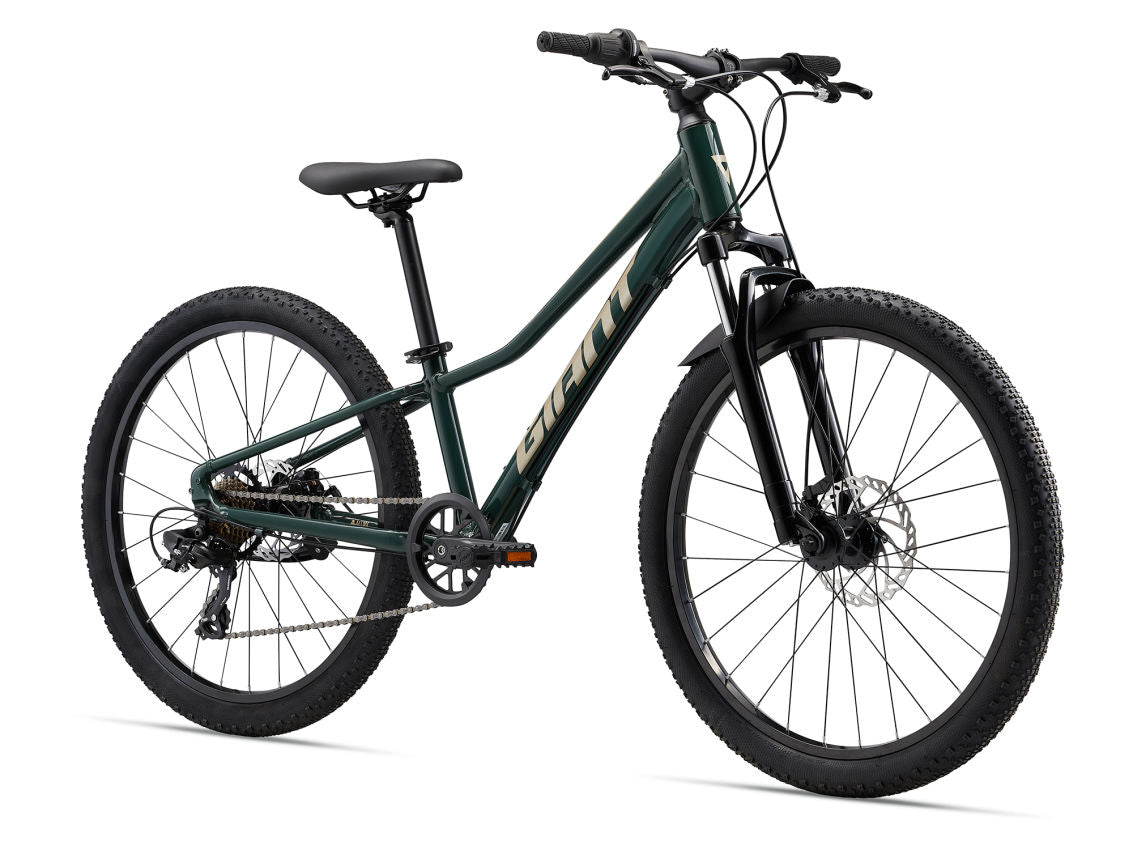 GIANT Talon 24 Disc Trekking Green