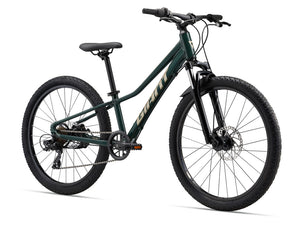 GIANT Talon 24 Disc Trekking Green