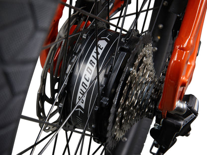 rear hub motor mounted in frame