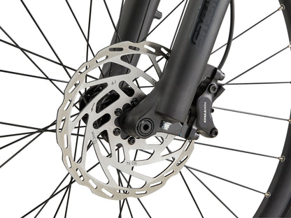 Front brake and disc on forks