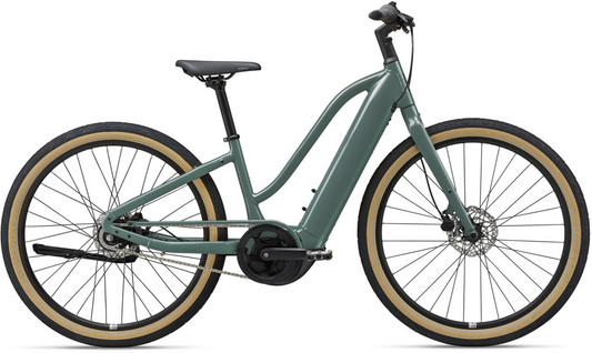 Green Momentum E-bike