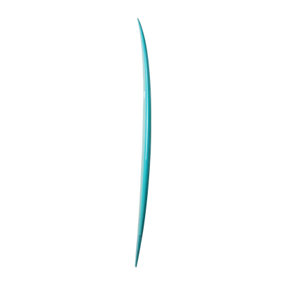 Fighting Fish