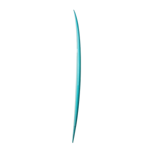 Fighting Fish