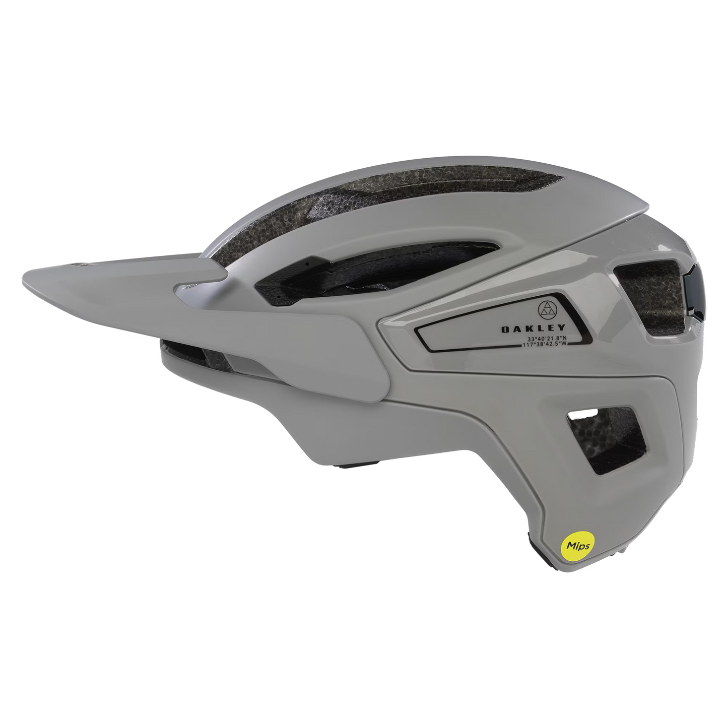 Gray helmet with 'Oakley' branding on a white background