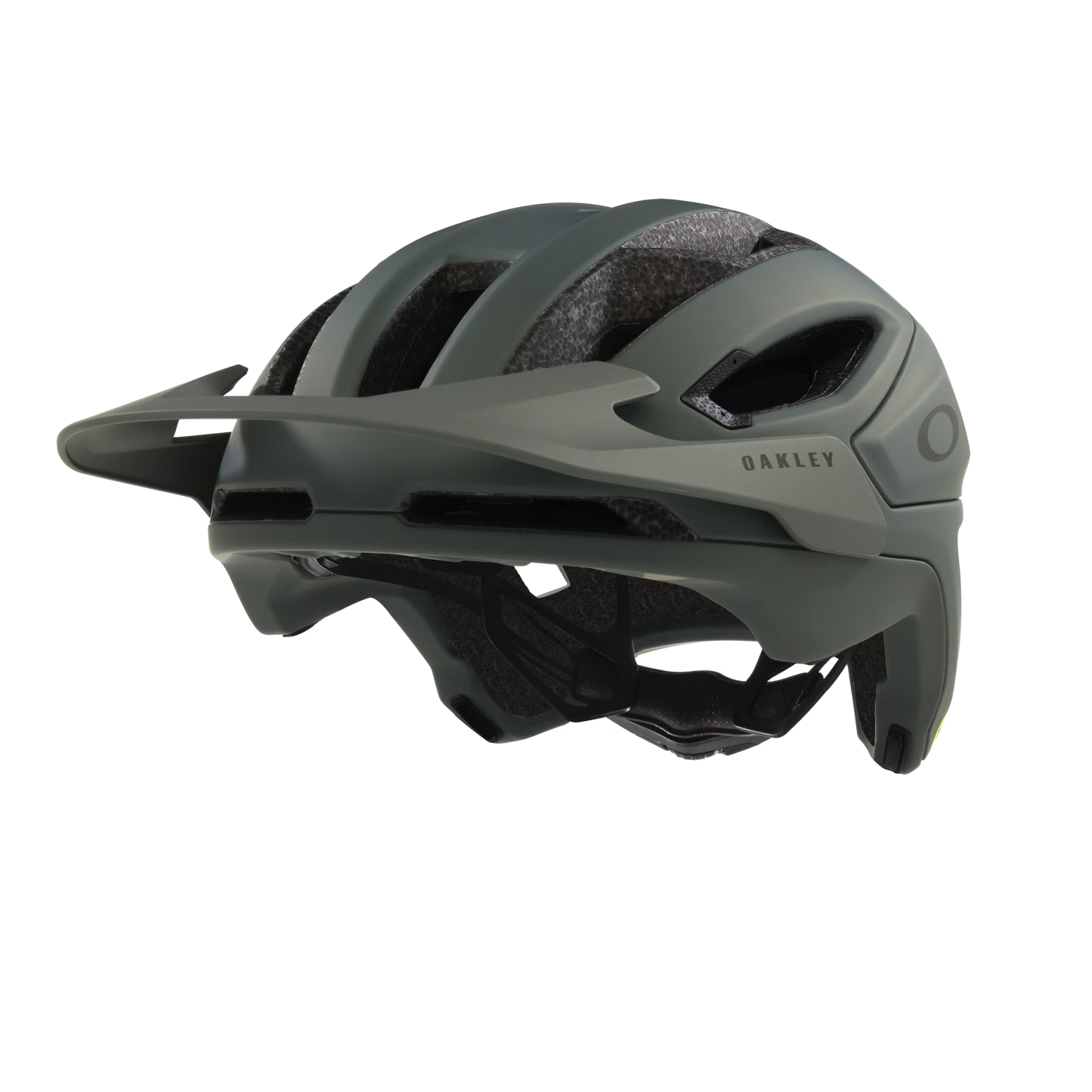 Gray helmet with 'Oakley' branding on a white background