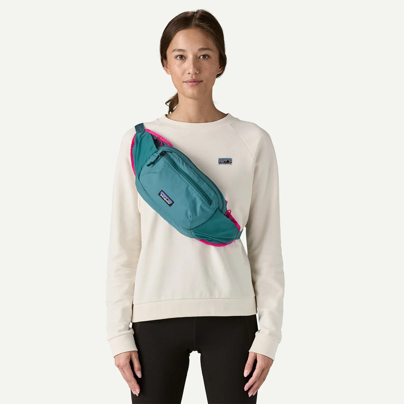 Patagonia Terravia Hip Pack