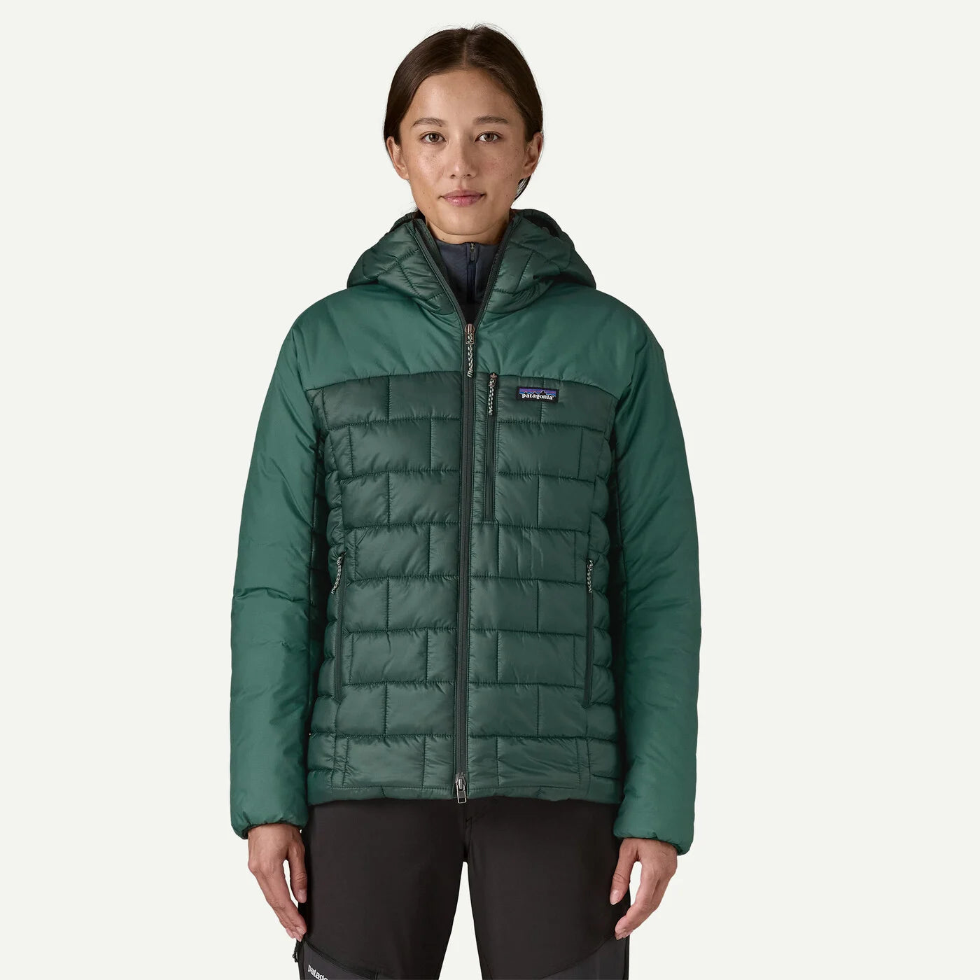 Patagonia Women's Hi-Loft Nano Puff Hoody